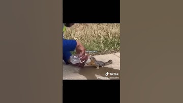تلاوه رائعه للشيخ ياسر الدوسري #islamicvideo #المصحف #الرحمن #لايك