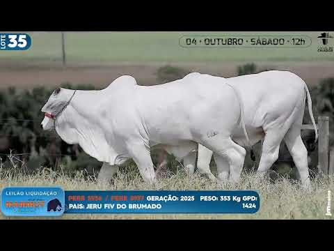 LOTE 35   PERB 5936 5937