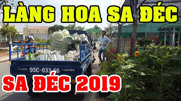 CHỢ HOA TẾT 2019 : TOÀN CẢNH LÀNG HOA SA ĐÉC 2019 | cần thơ ký sự
