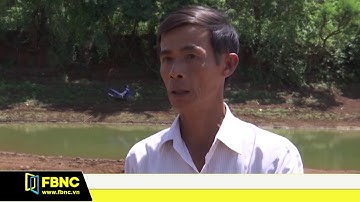 Nhiều công trình thủy lợi tại Đăk Lắk không đảm bảo an toàn trong mùa mưa lũ | FBNC