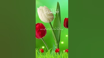 Surat Al- Hadid | Quran tilawat | Quranic verses| Holy verses | Al quran | Tilawat | سورة الحدید
