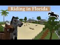 Showjumping In Florida | MINECRAFT Equestrian | DibbleCraft