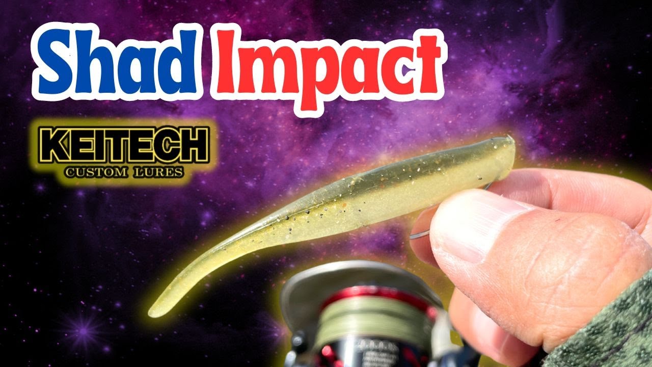 Keitech Shad Impact] how to catch Bass using this Keitech classic. 