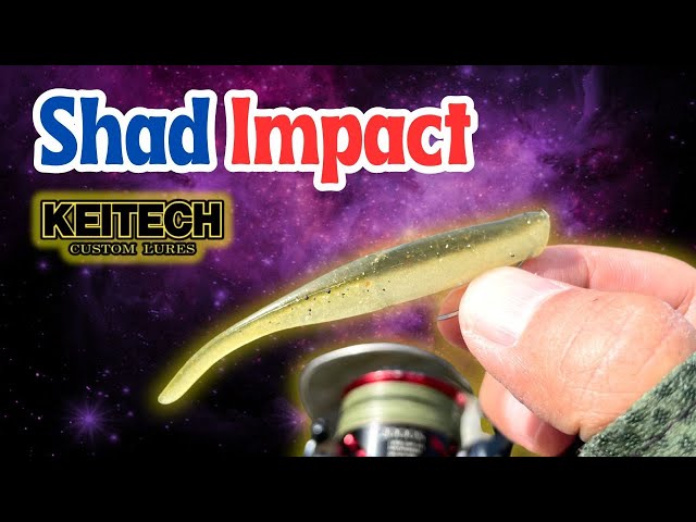 [Keitech Shad Impact] how to catch Bass using this Keitech classic. 