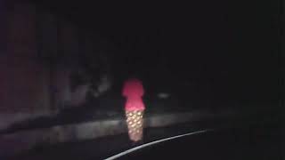 Penampakan alas roban maret 2018