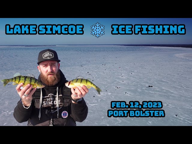 Lake Simcoe Ice Fishing Perch Feb 12, 2023 