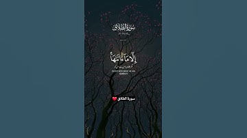 سورة الطلاق ❤