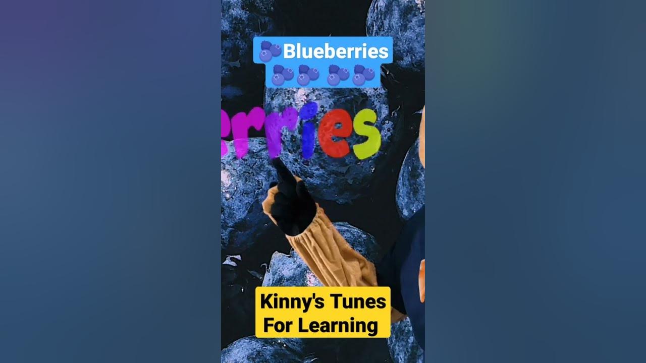 Blueberries 🫐 | Fruit Song For Kids | #kidsmusic #blueberries #blueberry #fruit #kinny #yogurt #kids