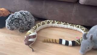 Wild Republic Collection