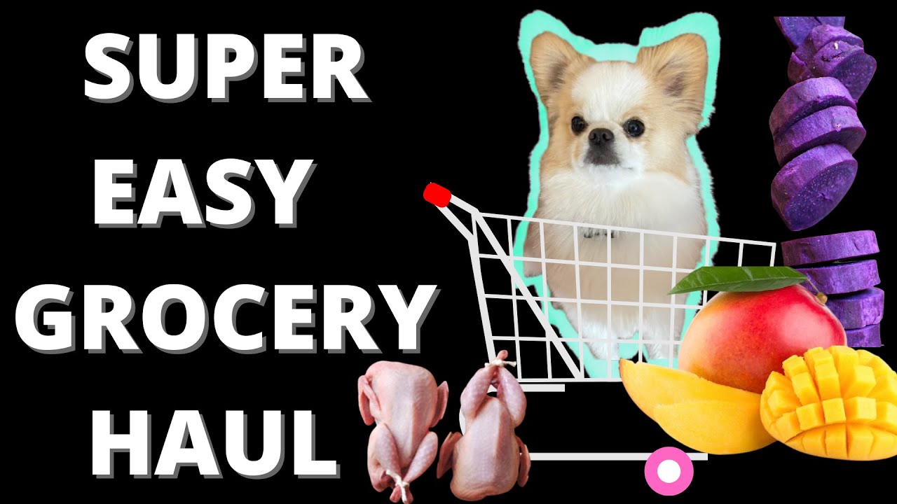 GROCERY HAUL + MEAL PREP RAW DOG FOOD FOR MY SMALL DOGS RAW FOOD DIET ROTATIONAL MONO