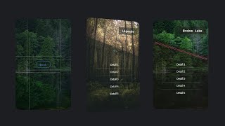 Flip Card Hover Effects | CSS Hover Effects