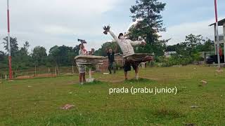 Aksi merpati DORRR kepatek. #PMTIKABSINJAI