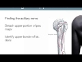 Clinical Anatomy of the Shoulder Girdle Part 3