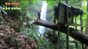 Sinh Tồn Trong Rừng Việt Nam Cùng Với Chú Chim Đại Bàng