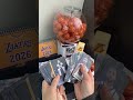 Curry Limited Edition Blind Box