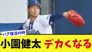 小園健太が一回り大きくなって春キャンプに登場しチェンジアップを披露【なんJ プロ野球反応集】【2chスレ】【5chスレ】