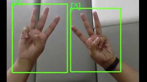 Hand Gesture Recognition Using Convolutional Neural Network