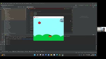 Trò chơi Hứng táo - Ngô Đức Anh - Lớp Lập Trình Python VS290