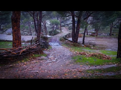 Sağanak Yağmurda Doğada Yürüyüş, 4K - Nature Walking in Heavy Rain, 4K