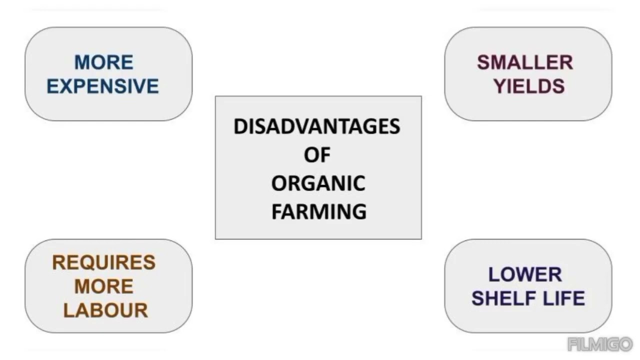 DISADVANTAGES OF ORGANIC FARMING YouTube DISADVANTAGES OF ORGANIC FARMING YouTube