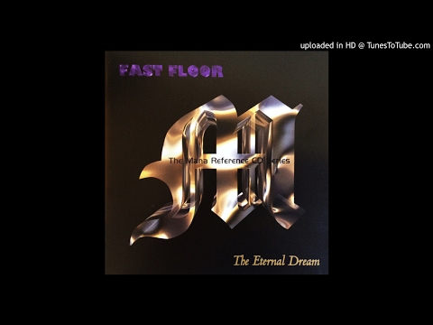Fast Floor -  The Quest For Intelligence (The Eternal Dream)