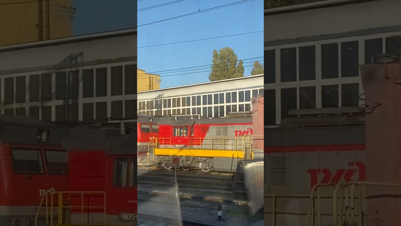 Тэм7а 0120, чмэ3 6317 и Тэп70бс в депо Краснодар 