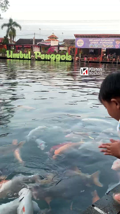 Ngadem di Umbul Ponggok Klaten #klaten #klatenyoben #wisata