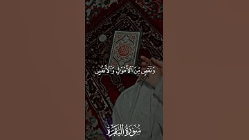 القران الكريم راحه نفسيه 😭😭 #اكسبلور #لايك 🌹🌹