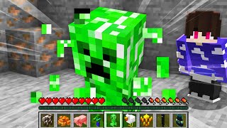 PODEMOS COMER OS MONSTROS DO MINECRAFT