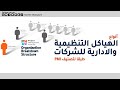 الهياكل التنظيمية والادارية للشركات طبقا لتصنيف PMI