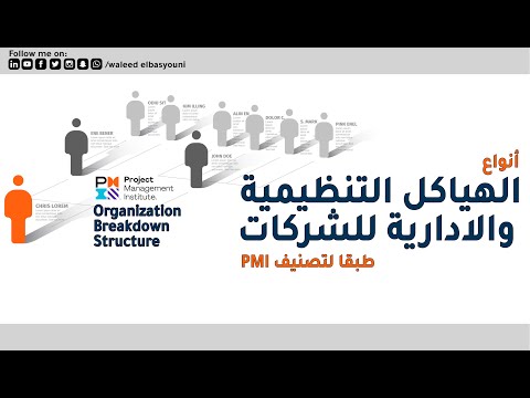 الهياكل التنظيمية والادارية للشركات طبقا لتصنيف PMI