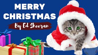 Beluga asks not to do Merry Christmas by Ed Sheeran