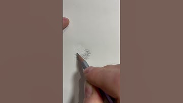 Drawing fur: the art of embossing