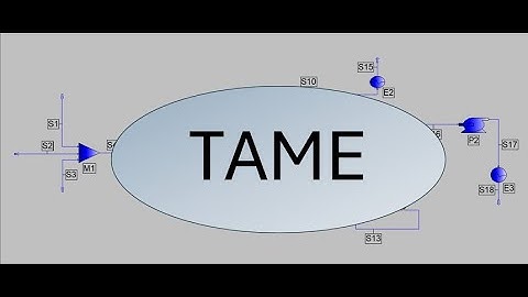 Simulation of TAME with AVEVA PRO/II (Lab 7)