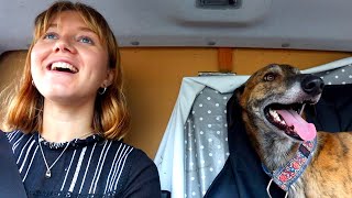 Solo Female Van Life With A Dog! 🐾🚐