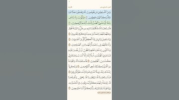 سورة الانبياء القارئ ماجد العقل من من الأخضر حتى الأصفر