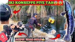 EDYAN😱‼️SAMBARAN TOMAN MONSTER PENGHUNI AIR HITAM BIKIN JANTUNG BERGETAR || CASTING GIANT SNAKEHEAD