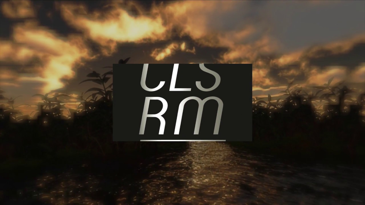 Claas-Reimer - District 9 (CLSRM 004)