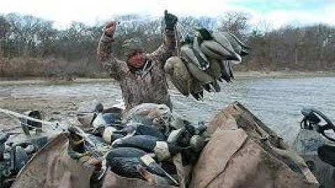 Duck pigeon  and goose  full slow motion shotgun hunting video 2018 10 January