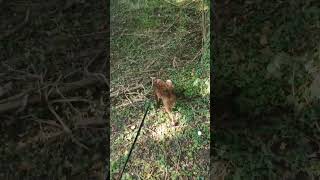 In Life You Must Find Your Own Path.