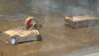 RoboGames 2008 Professor Chaos vs. Touro