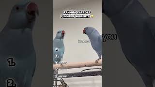 #ranking #bird #cute #cuteanimals #shortvideo #top10 #birds #trending #animals #cat #shorts