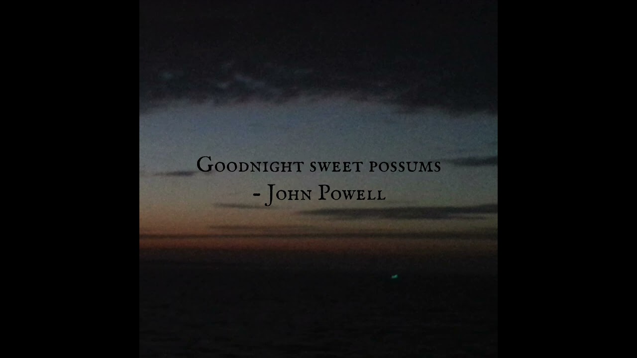 Goodnight sweet possums - John Powel (Cover)
