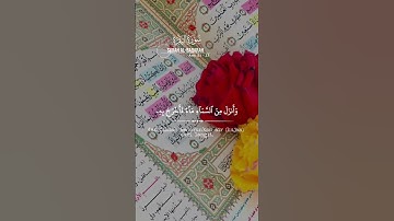 المصحف #الرحمن #اكسبلور #دويتو #تلاوة_خاشعة #تيك_توك #اكتب_شي_توجر_عليه