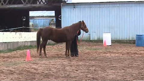 MDA Mr Mercedes/Darlene Ward/Oct series/Ranch Hand...