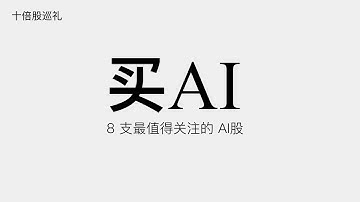 8 支最值得关注的 AI股，现在买入｜Tesla、Bitcoin、Apple、Google、Mate、Nnda、Amazon、MSFT