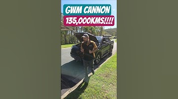 GWM Cannon with LOTS of Kms!  #gwm #tank300 #tank500 #mechanic