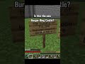 What was this?  #minecraft #bestminecraftclips #minecrafthumor #memes #minecraftrealistic