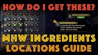 HOW DO I GET THESE INGREDIENTS? MHW Canteen Ingredient Guide