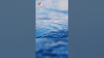 أجمل تلاوة خاشعة....للقارئ فارس عباد 😌😌😌